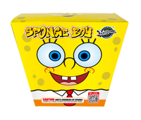 Sponge Boy