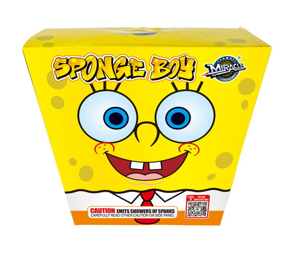 Sponge Boy