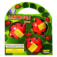 June / Lady Bugs